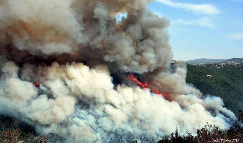Lebanon Seeks Neighboring Countries  Help to Battle Widespread Forest Fires