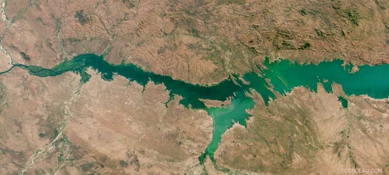 Global Algal Blooms Intensify, Threatening Lakes Worldwide