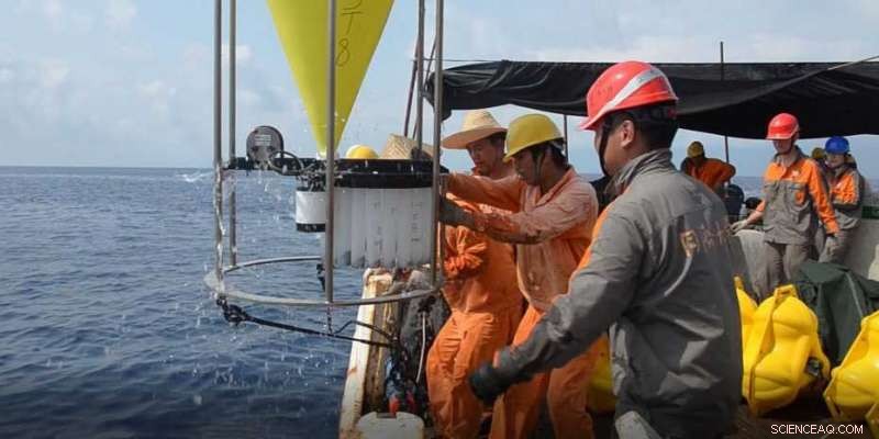 Clay Minerals Lead Carbon Management in Marine Sediments