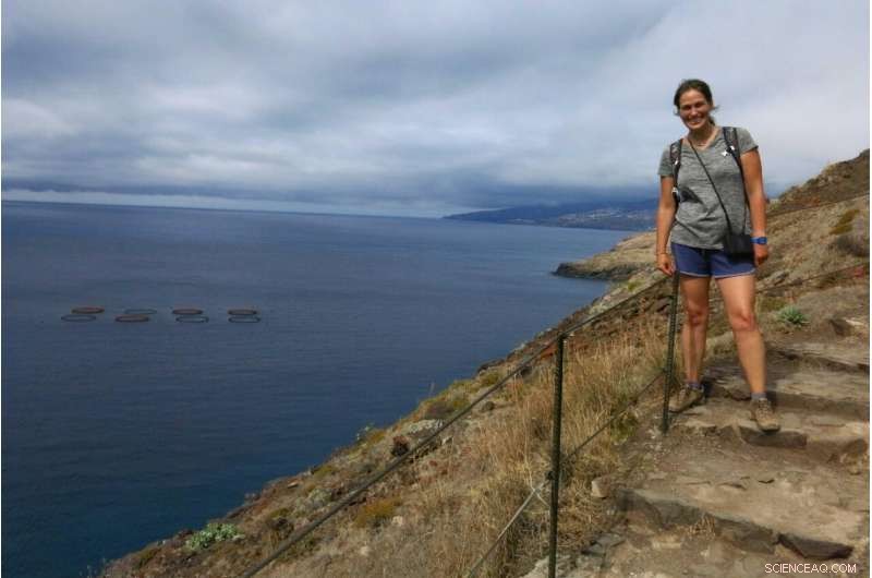 Mariculture Explained: Global Trends in Sustainable Seafood Farming