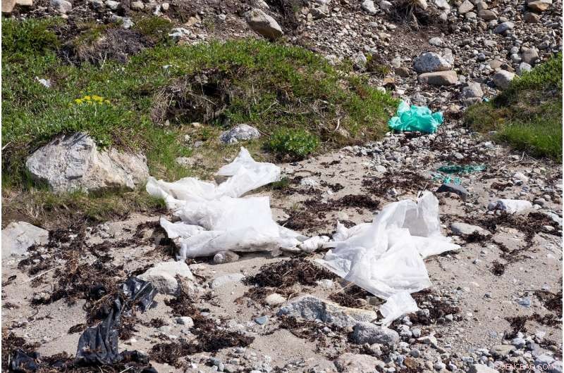 Unveiling the Path of Microplastics Across the Arctic