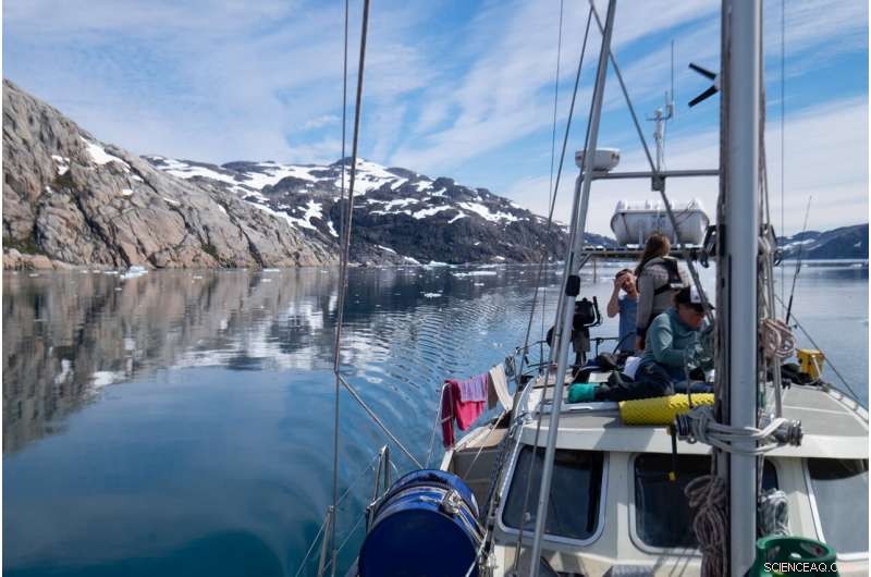 Unveiling the Path of Microplastics Across the Arctic