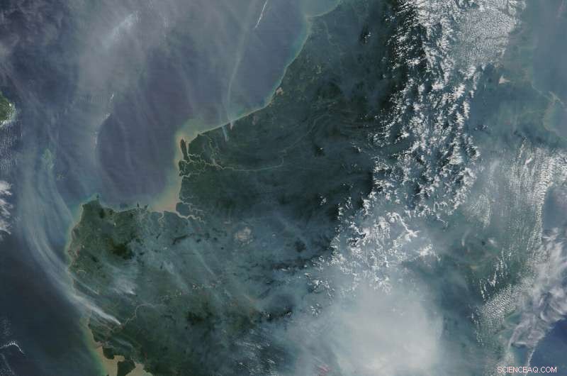 Indonesia Enveloped in Smoke: Wildfires Threaten People, Wildlife and the Climate