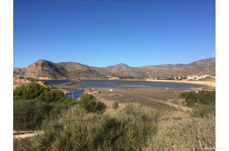 25 Years Later: Portman Bay Tailings Still Leaking Metals into the Mediterranean