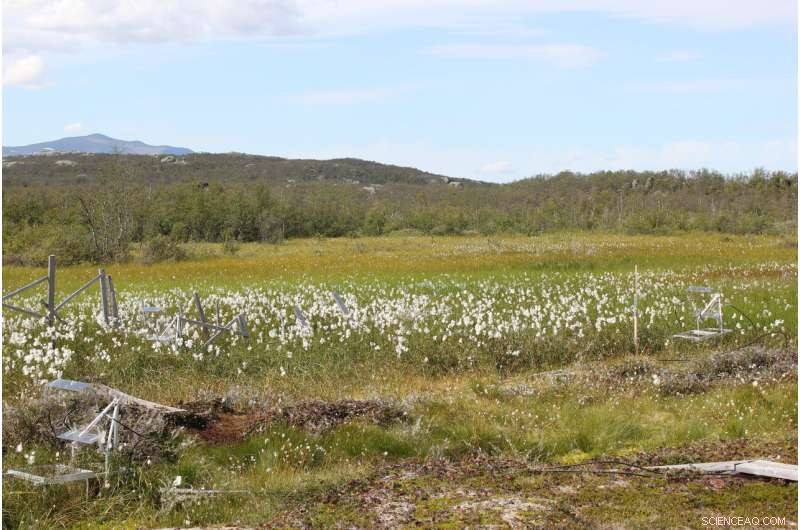 Study Reveals Climate Change Escalates Mercury Contamination Risk