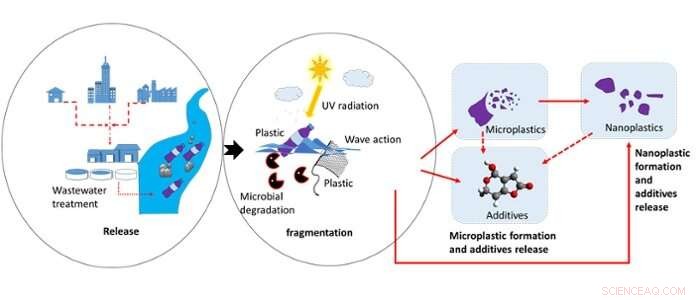 Uncovering the Threat of Nanoplastics: Environmental and Health Impacts