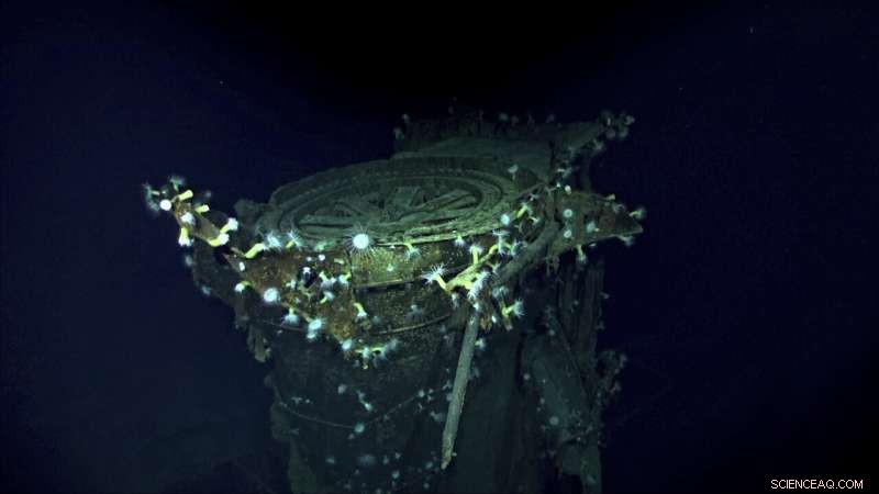 Deep-Sea Expedition Uncovers WWII Japanese Aircraft Carrier Kaga