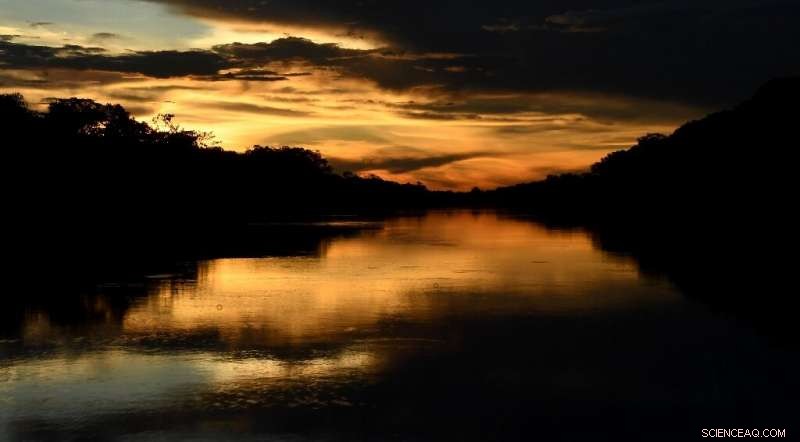 Experts Call for Amazon s Bioeconomic Plan to Protect Its Natural Bounty