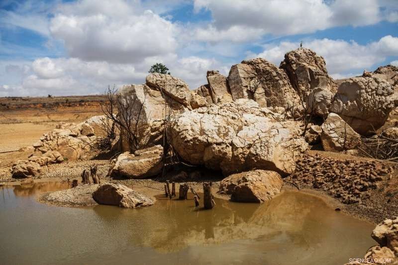 African Youth Climate Advocates Fight for Their Voice