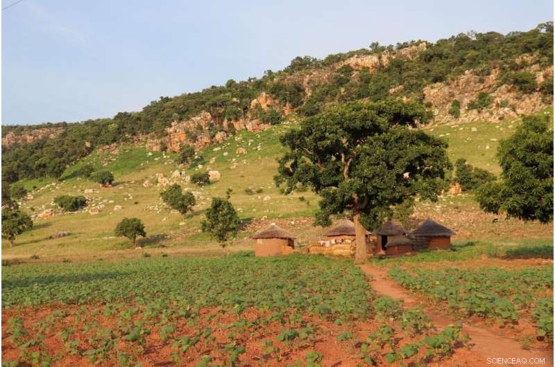 Global Forest Research Community Urges Recognition of Forests as Key Drivers of Human Prosperity