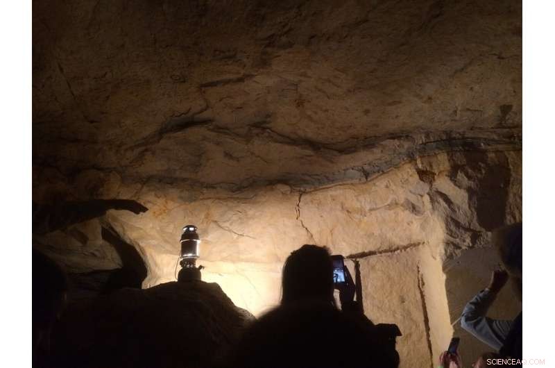 Yale Study Confirms Ocean Acidification as Key Driver of Last Mass Extinction