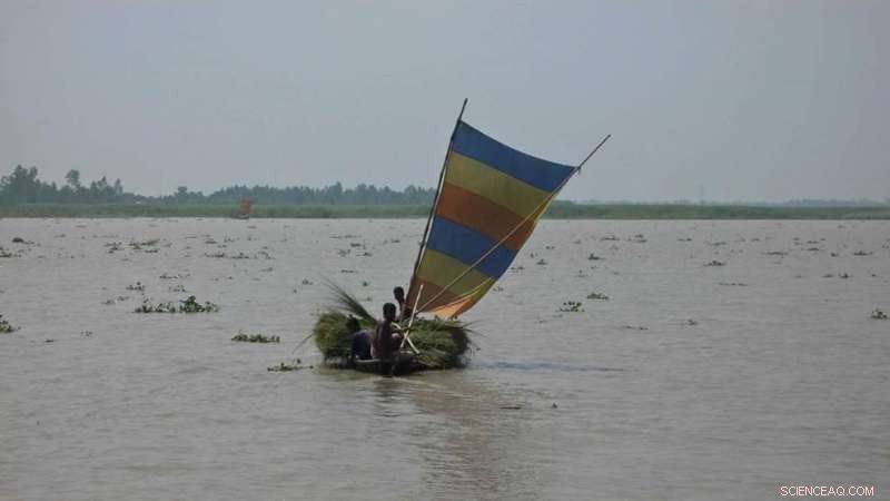 Catastrophic Events Transport Forests Across Thousands of Miles to the Ocean