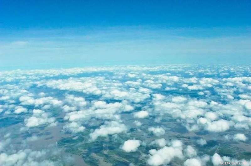 Catastrophic Events Transport Forests Across Thousands of Miles to the Ocean