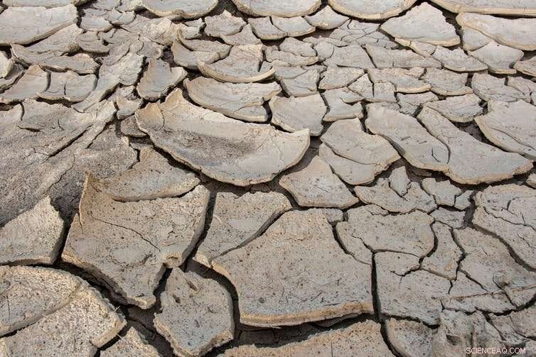 Renowned Climate Scientist Urges Shift in Strategy to Combat Climate Crisis