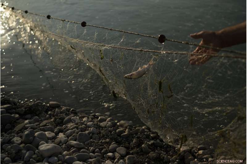 Vjosa River: Europe s Last Untamed Flow Threatened by Dam Construction
