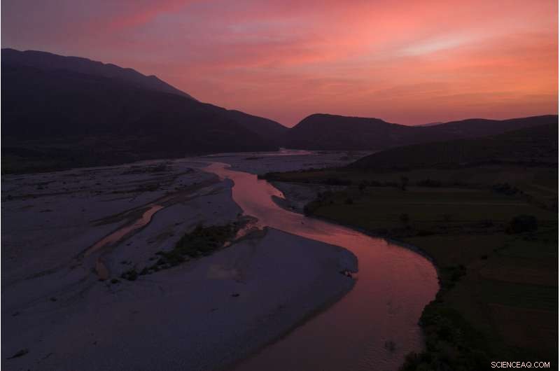 Vjosa River: Europe s Last Untamed Flow Threatened by Dam Construction