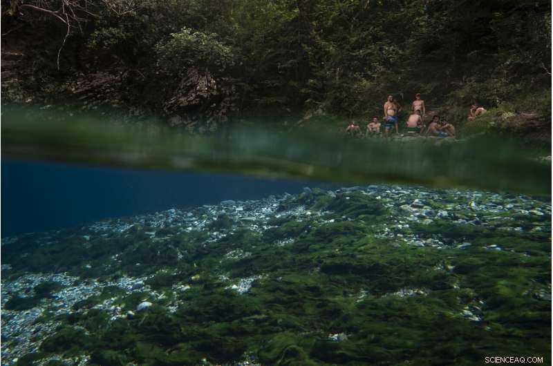 Vjosa River: Europe s Last Untamed Flow Threatened by Dam Construction