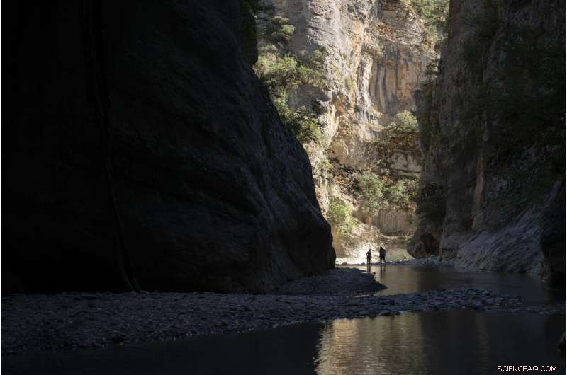 Vjosa River: Europe s Last Untamed Flow Threatened by Dam Construction
