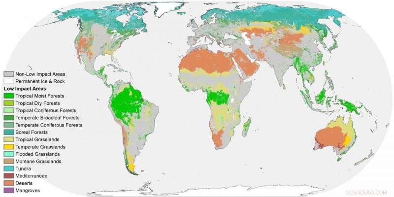 Half of Earth s Land Remains Wild, Yet Faces Fragmentation Threats