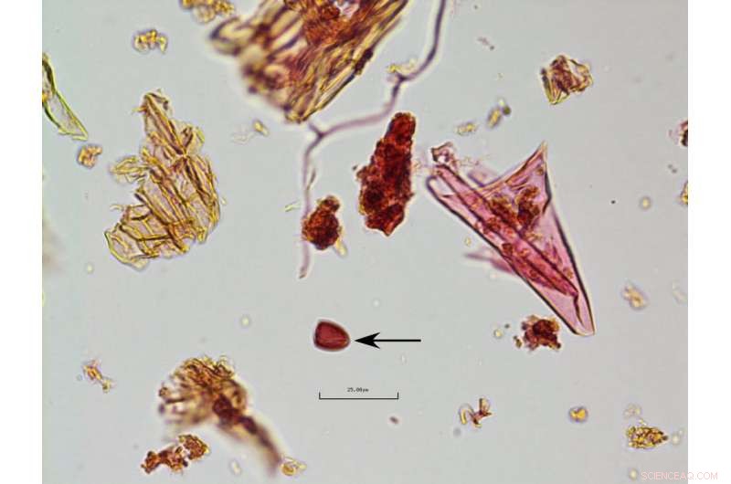 Evidence Links 12,800-Year-Old Extraterrestrial Impact to Earth s Sudden Climate Shift