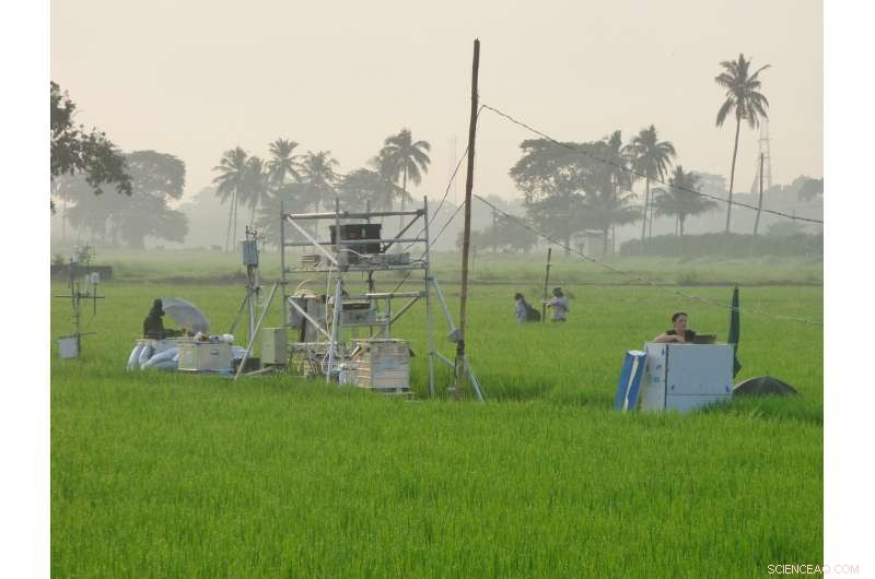 Scientists Urge Global Action on the Devastating Impact of Nitrogen Pollution