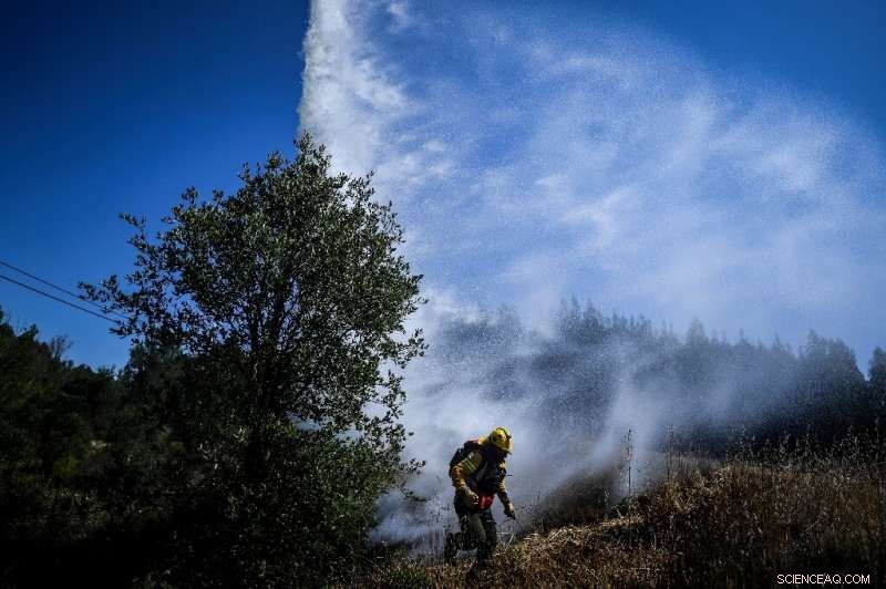 Portugal s Private Firefighting Brigades Safeguard Volatile Forests