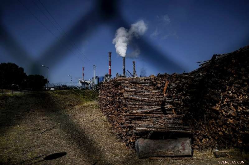 Portugal s Private Firefighting Brigades Safeguard Volatile Forests