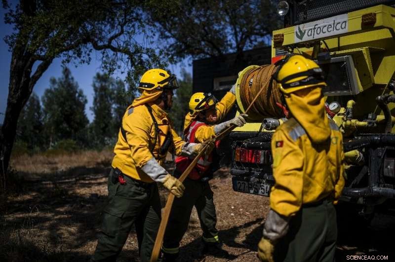 Portugal s Private Firefighting Brigades Safeguard Volatile Forests