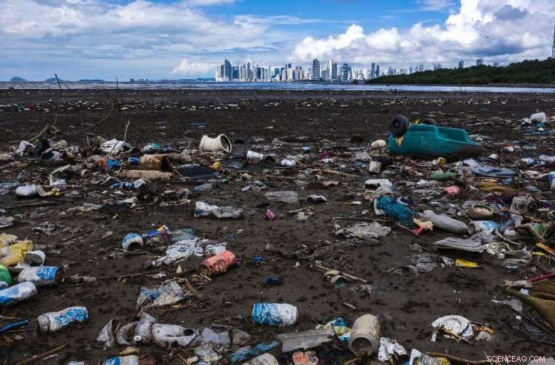 Major Corporations Lead Plastic Pollution: New Report Reveals Top Culprits