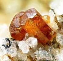 Formation of Rare Earth Element‑Rich Deposits in Central Sweden