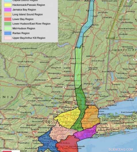 Evaluating a Storm Surge Barrier for New York: Feasibility, Benefits, and Challenges