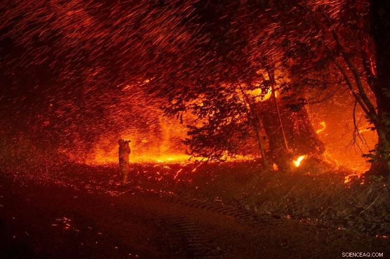 Mass Evacuations in California as Wildfires Intensify