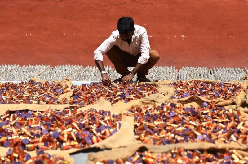 Sivakasi Firecracker Industry Faces Challenges Amid Anti‑Pollution Initiative