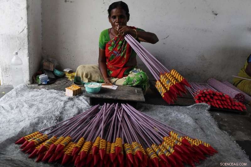 Sivakasi Firecracker Industry Faces Challenges Amid Anti‑Pollution Initiative