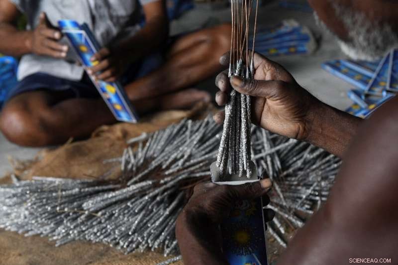 Sivakasi Firecracker Industry Faces Challenges Amid Anti‑Pollution Initiative