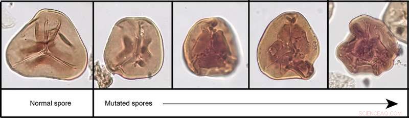 Volcanic Mercury Levels Linked to End‑Triassic Mass Extinction: New Scientific Evidence