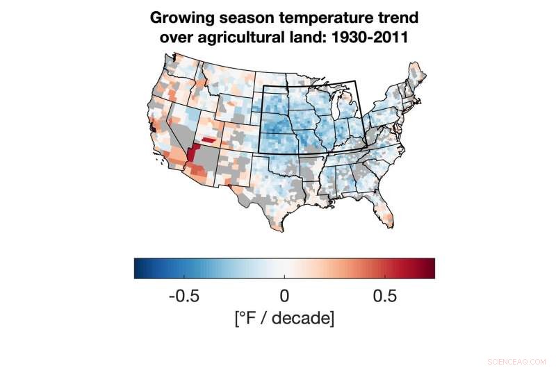 US Corn Yields Improve as Global Warming Hotspot Boosts Production