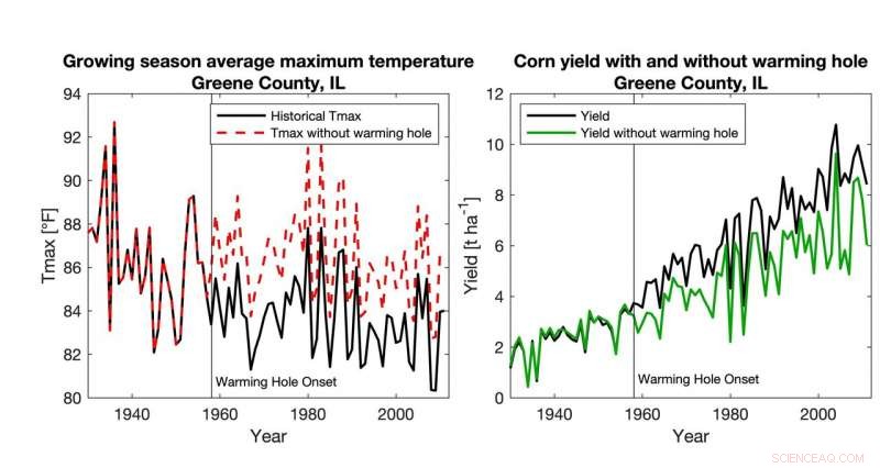 US Corn Yields Improve as Global Warming Hotspot Boosts Production