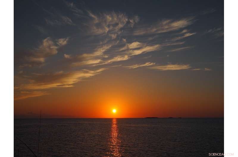 Impact of Hurricane Dorian on Bahamas Coral Reefs: Battered & Debris‑Littered