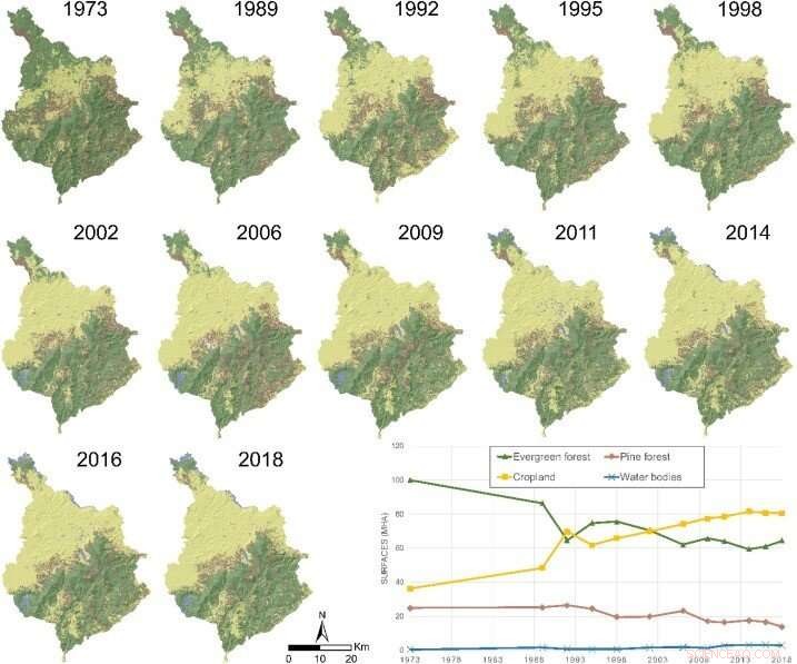 What Drives Tropical Deforestation? Scientists Map 45 Years of Satellite Data