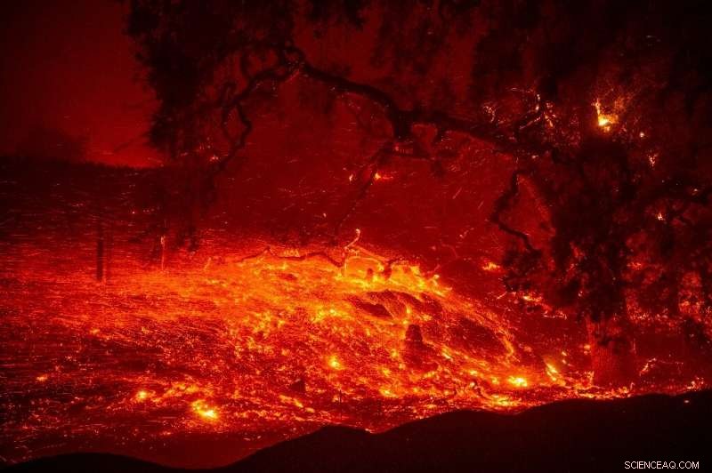 California Wildfires Prompt Urgent Evacuations; Firefighters Tackle Rapidly Advancing Blaze