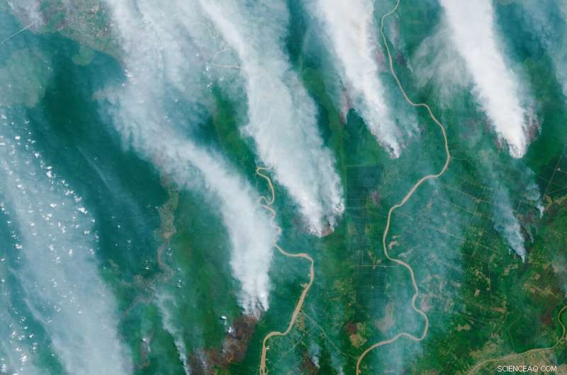Wildfires Surge Nearly Fivefold in 2023, Satellite Data Reveals
