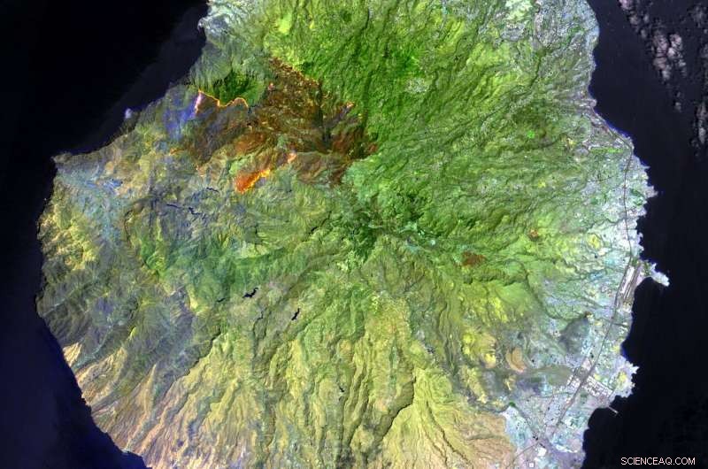 Wildfires Surge Nearly Fivefold in 2023, Satellite Data Reveals