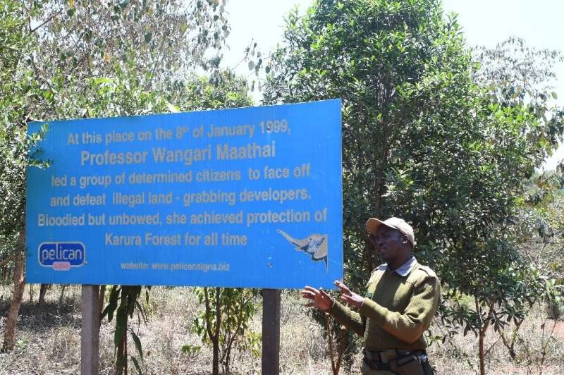 From Crime Hotspot to Jogger’s Paradise: Nairobi’s Karura Forest Thrives
