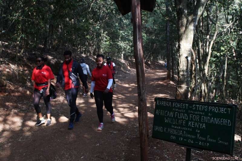 From Crime Hotspot to Jogger’s Paradise: Nairobi’s Karura Forest Thrives