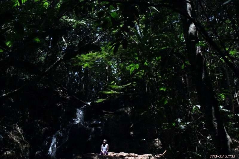 From Crime Hotspot to Jogger’s Paradise: Nairobi’s Karura Forest Thrives