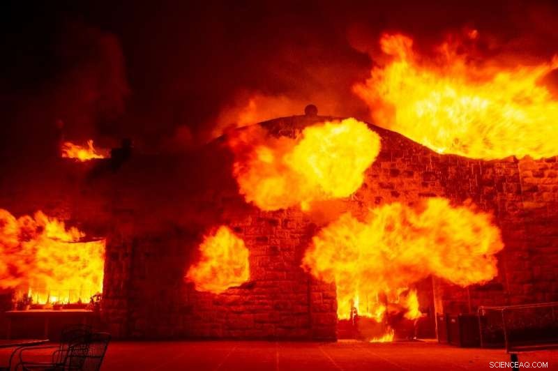 California Wildfire Intensifies as Winds Fan Flames Near Santa Rosa