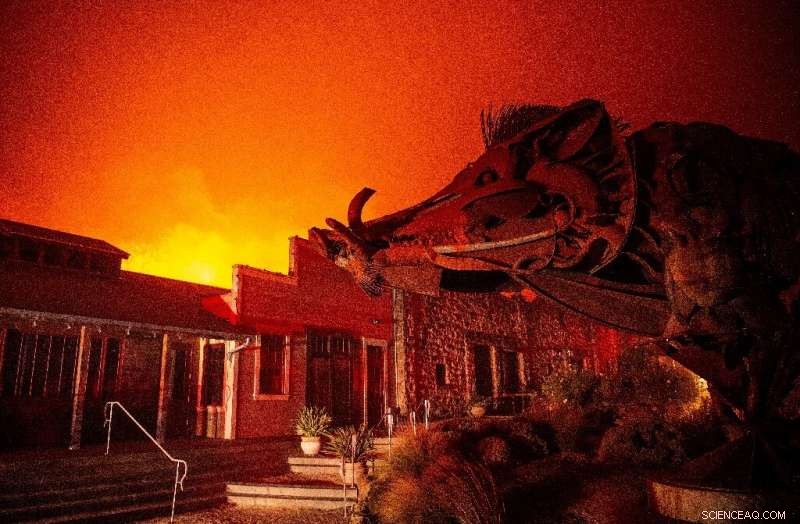 California Wildfire Intensifies as Winds Fan Flames Near Santa Rosa