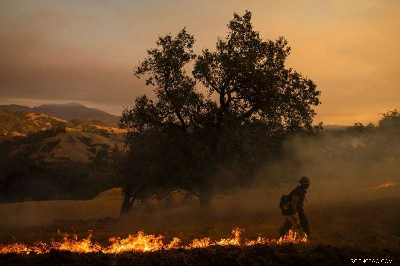 California Wildfire Intensifies as Winds Fan Flames Near Santa Rosa