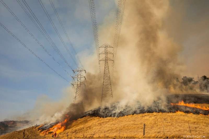 California Wildfire Intensifies as Winds Fan Flames Near Santa Rosa